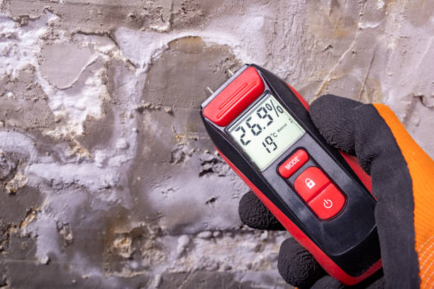 Mold Removal and Inspection in Lake Grove, NY