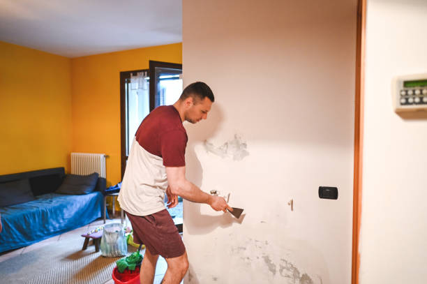 Best Certified Mold Removal  in Lake Grove, NY